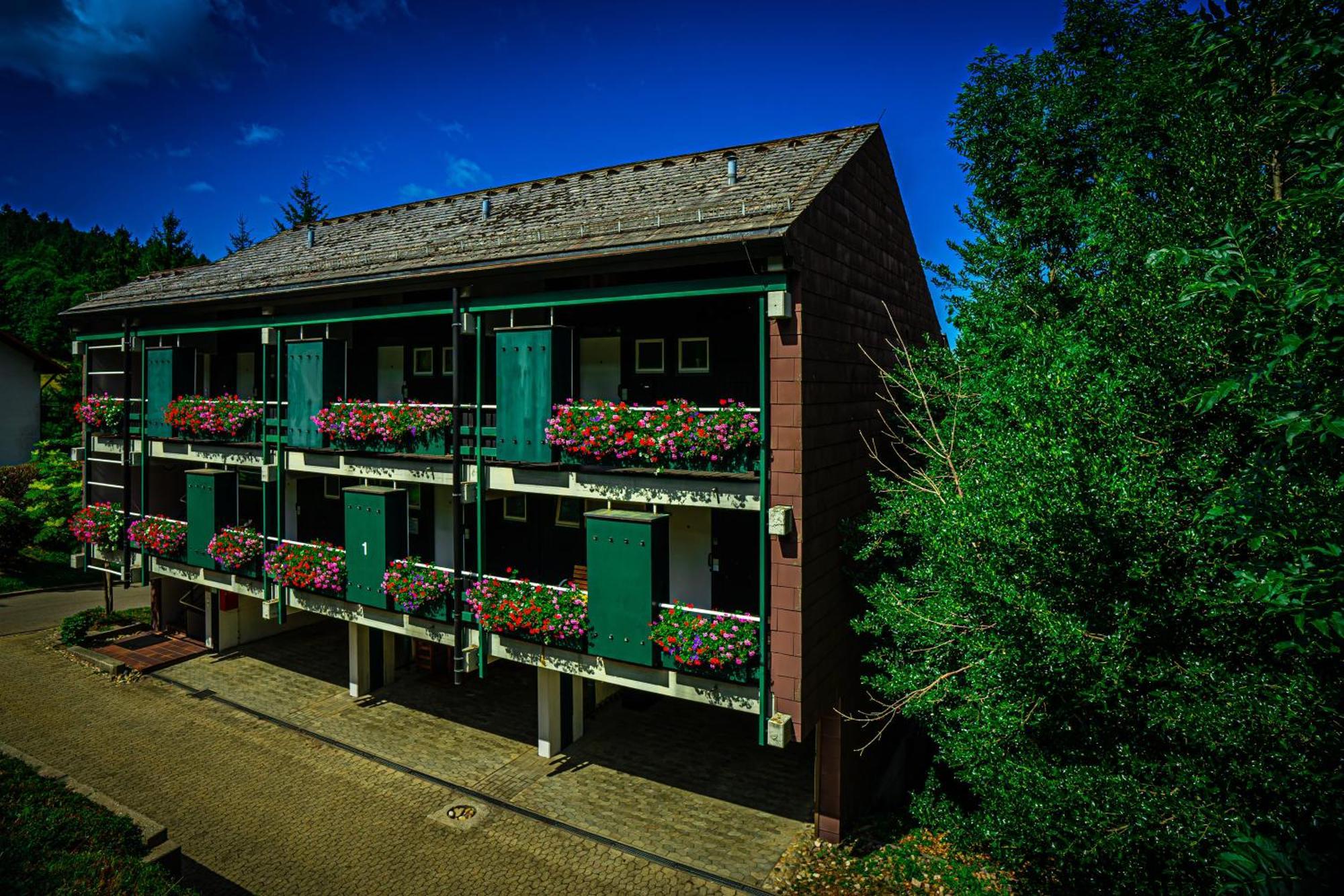 Natur Tanken Im Schwarzwald Sasbachwalden Esterno foto